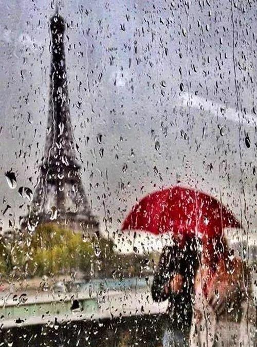 下雨时分,邂逅诗意时光