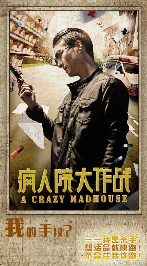 疯人院大作战,一场脑洞大开的奇幻冒险之旅