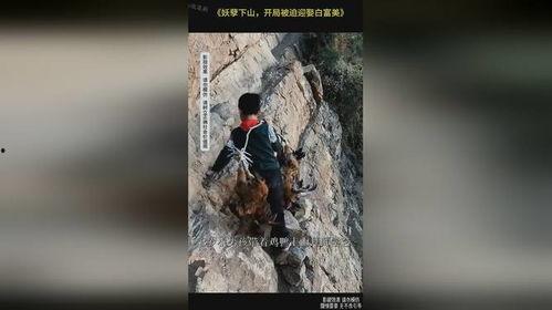 妖孽下山，开局被迫迎娶白富美,意外迎娶白富美，开启奇幻人生之旅