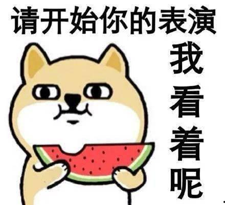 督军，你家奶团子又锦鲤附体了,督军家奶团子再展锦鲤神迹