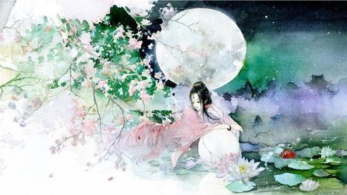 花已落，爱成空,一场宿命的悲歌